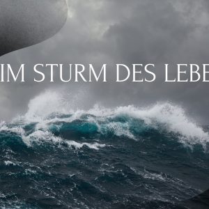 Im Sturm des Lebens….
