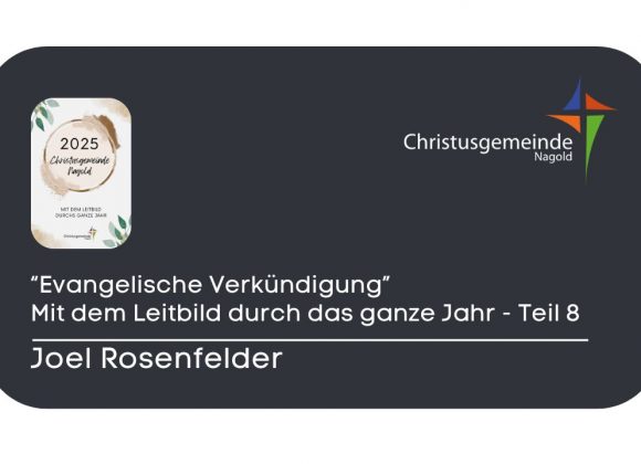 Evangelische Verkündigung – mit dem Leitbild durch das ganze Jahr – Teil 8