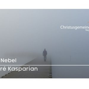 Der Nebel