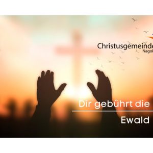 Dir gebührt die Ehre!